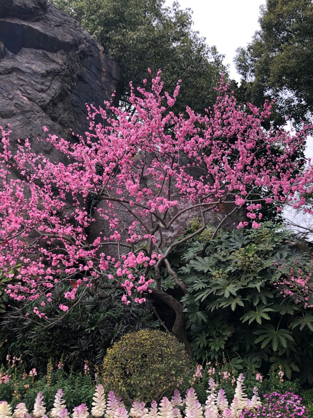 开园景区如何打造“安心游”？