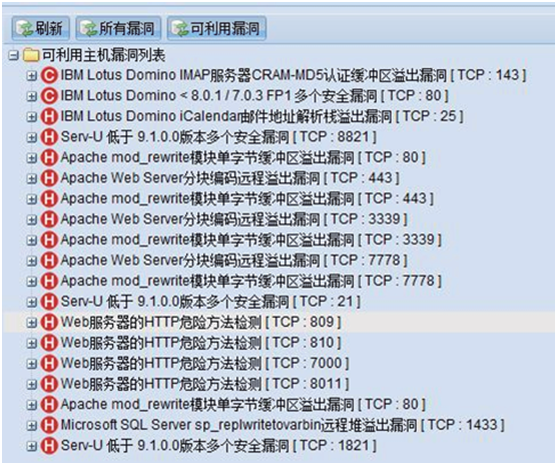 铱迅漏洞扫描系统 铱迅信息